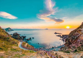 PHÚ YÊN - QUY NHƠN - KỲ CO - EO GIÓ - HOA VÀNG TRÊN CỎ XANH